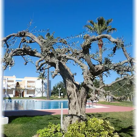 Apartment Estudio En Residencial Melocoton Vinaros